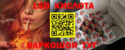 гашик Новодвинск