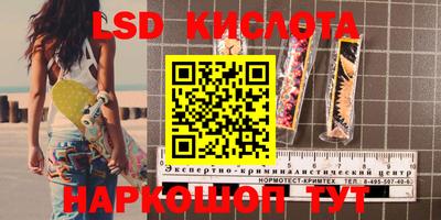 гашик Новодвинск