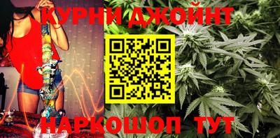 гашик Новодвинск